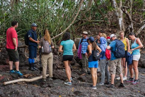 Corcovado National Park Day Tour Costa Rica